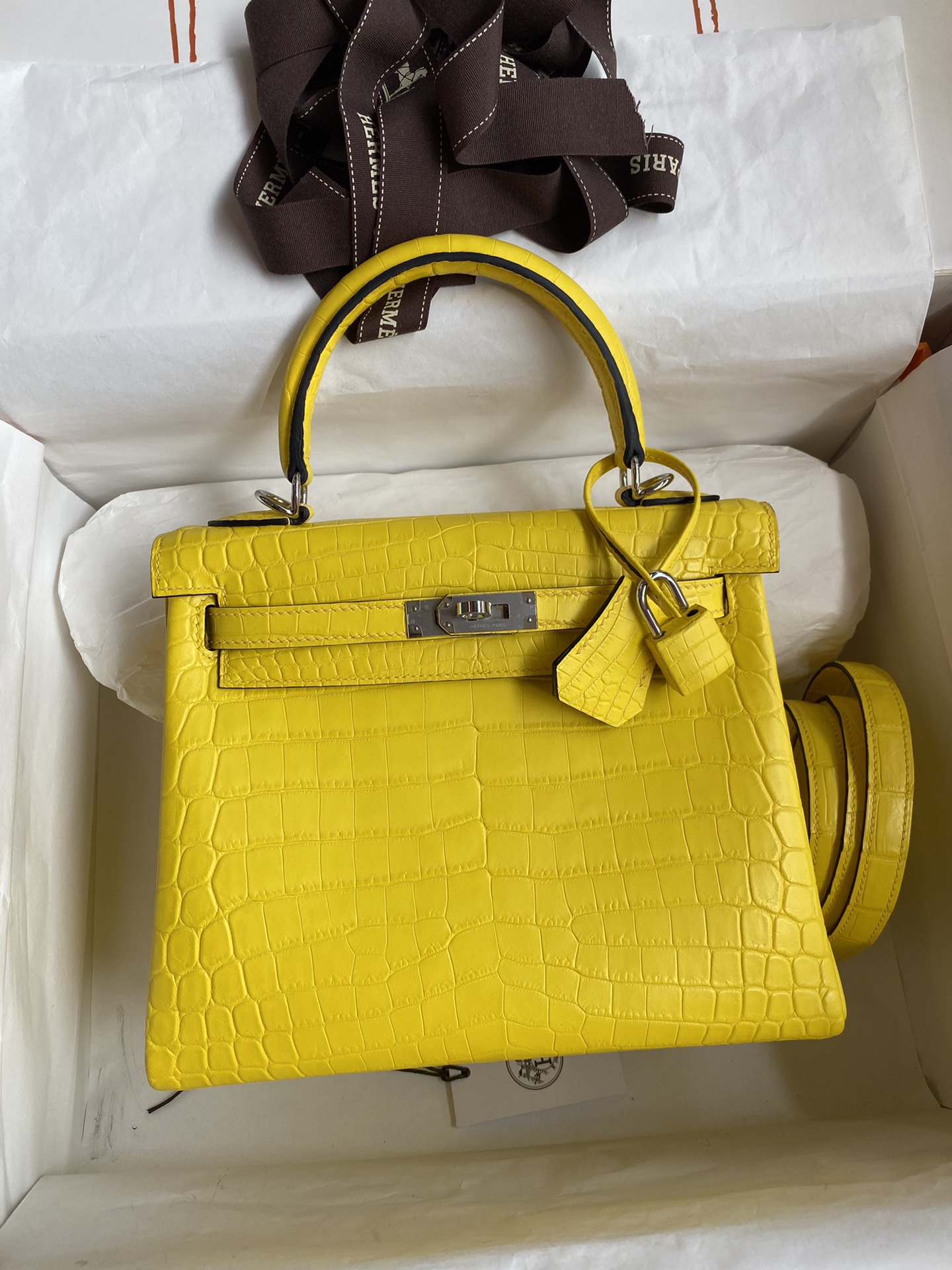 Hermes Kelly 25cm Handbag Shoulder Bag In Yellow Crocodile Niloticus Leather